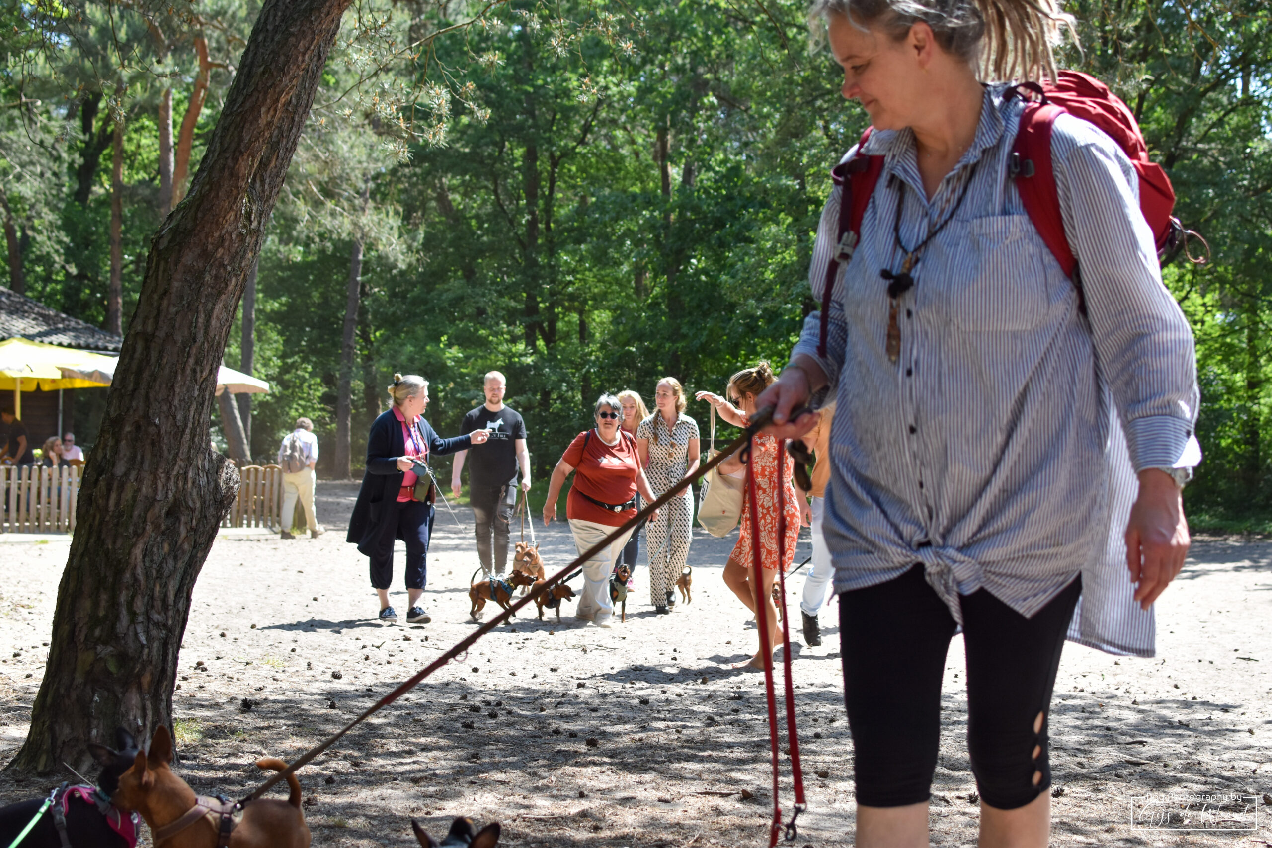 Zomer wandeling & ringtraining